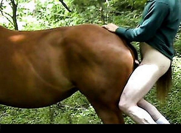 zoophilie sexe sexe dur zoophilie sexe sexe dur