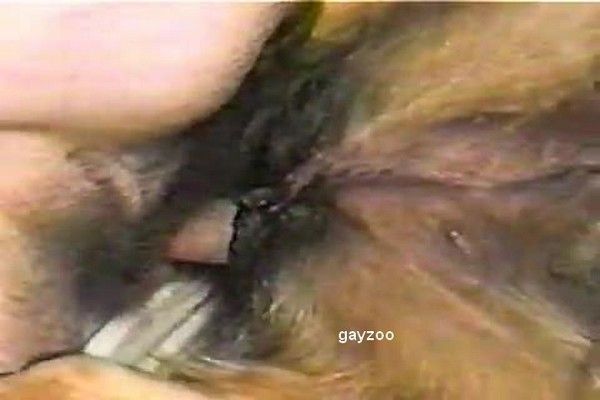 lisa xxx sex chevale et femme